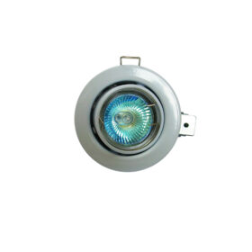 FRT1 Fire Rated Tilt Pressed Steel Downlight -